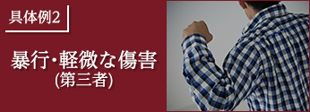 具体例2.暴行・軽微な傷害 (第三者)