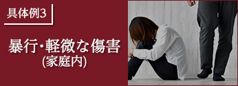 具体例3.暴行・軽微な傷害 (家庭内)